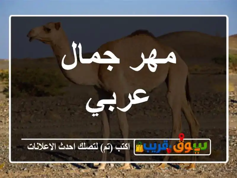 مهر جمال عربي