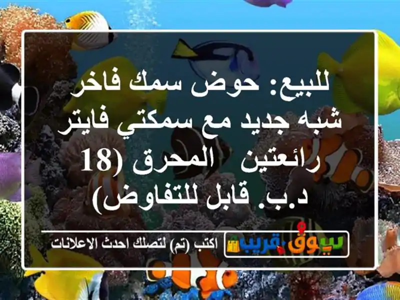 للبيع: حوض سمك فاخر شبه جديد مع سمكتي فايتر رائعتين...