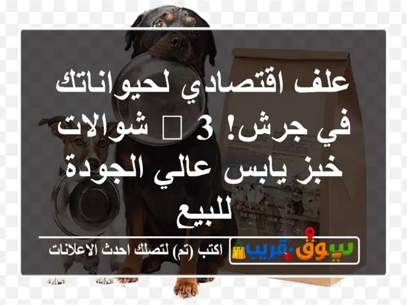 علف اقتصادي لحيواناتك في جرش! 🌾 3 شوالات خبز يابس...