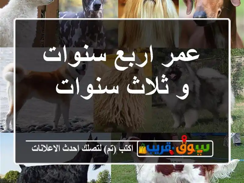 عمر اربع سنوات و ثلاث سنوات