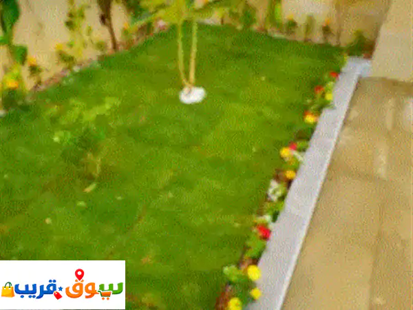 تنسيق حدائق بأنواعها شبكات ري وزراعة النخيل...