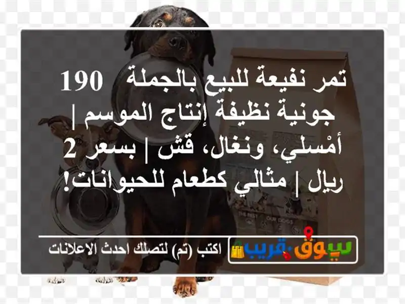 تمر نفيعة للبيع بالجملة - 190 جونية نظيفة إنتاج الموسم...