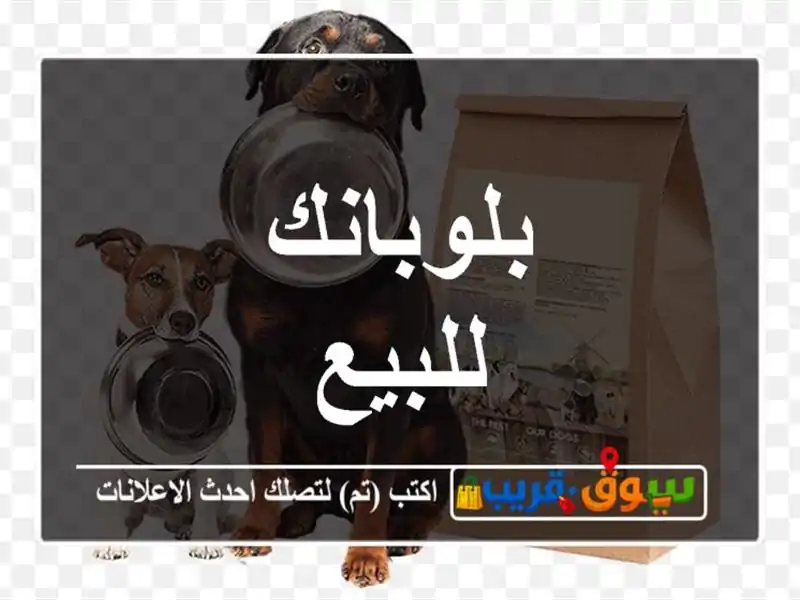 بلوبانك للبيع