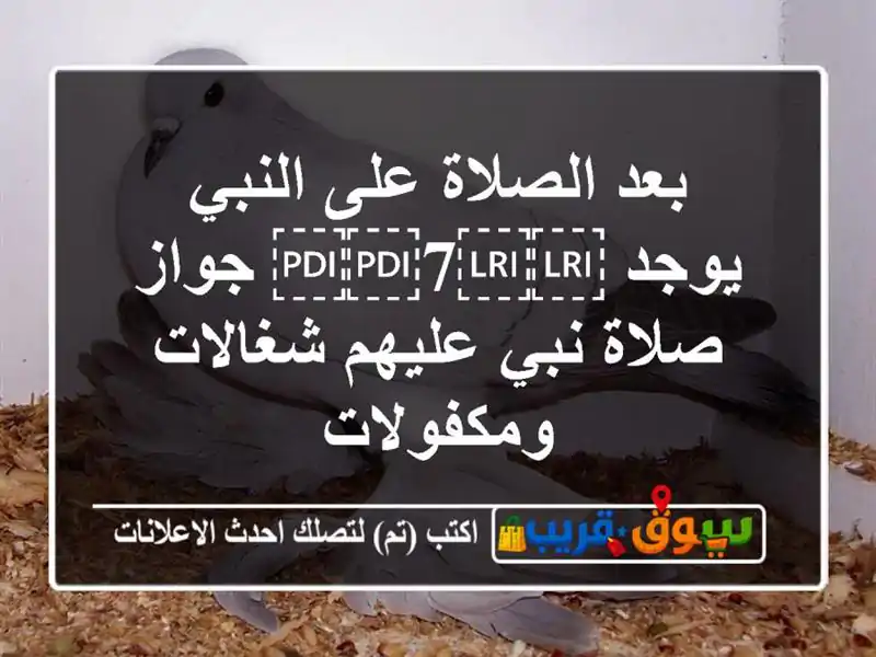 بعد الصلاة على النبي يوجد ⁦⁦7⁩⁩ جواز صلاة نبي...