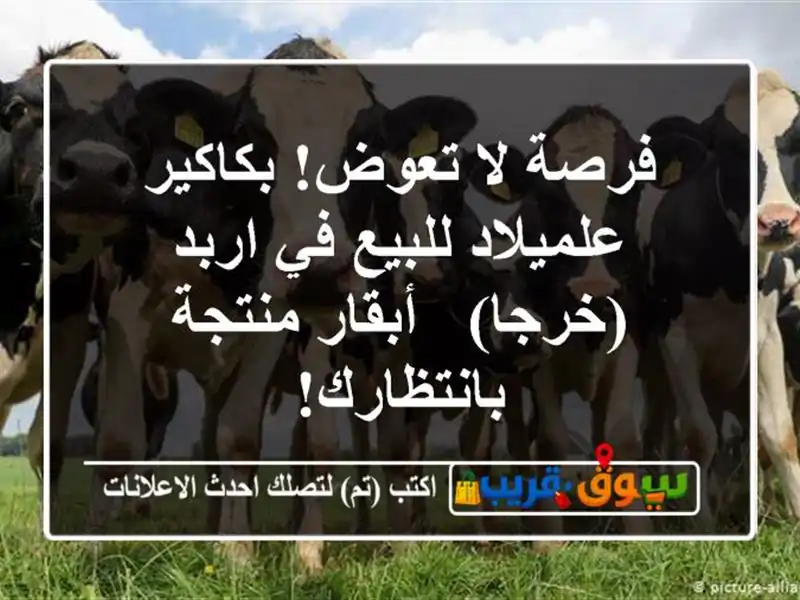 فرصة لا تعوض! بكاكير علميلاد للبيع في اربد (خرجا)...