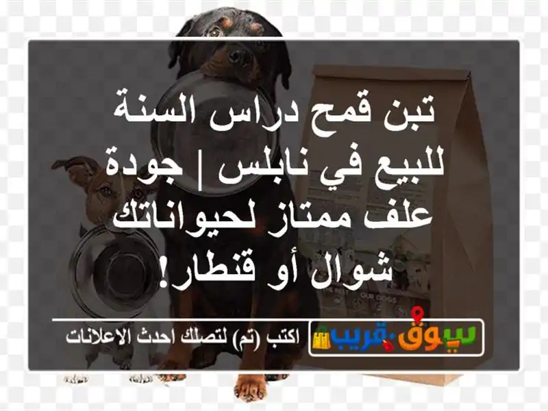 تبن قمح دراس السنة للبيع في نابلس | جودة علف...