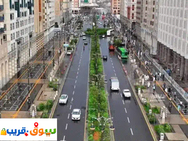 حدائق البهجة: تصميم وتنسيق حدائق المدينة المنورة...