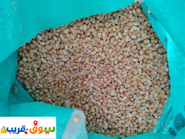 أجود أعلاف الحبش وقشر الفول | مستلزمات زراعية...
