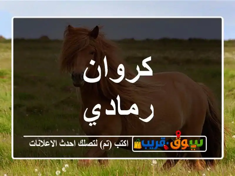 كروان رمادي