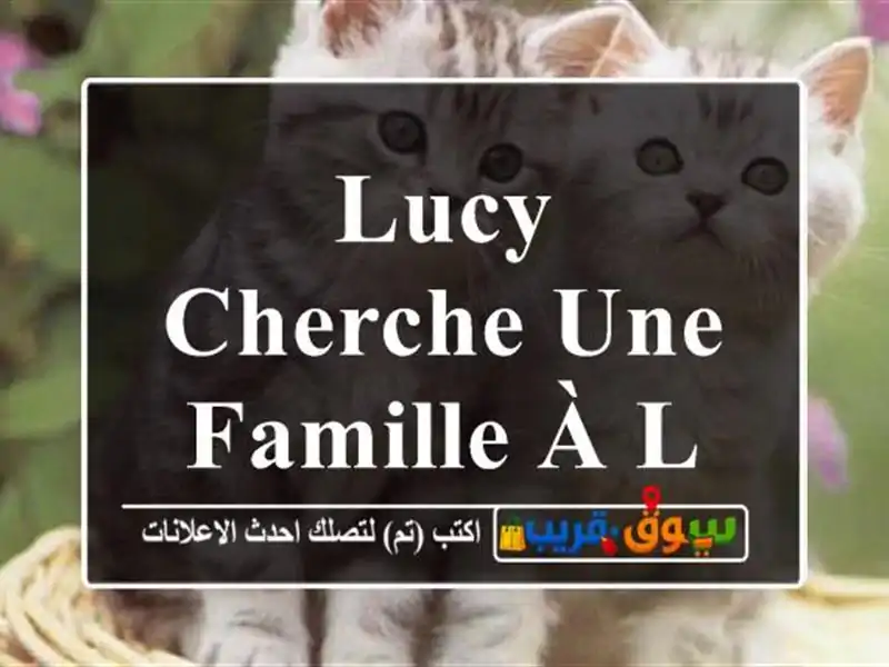 Lucy cherche une famille à La Marsa