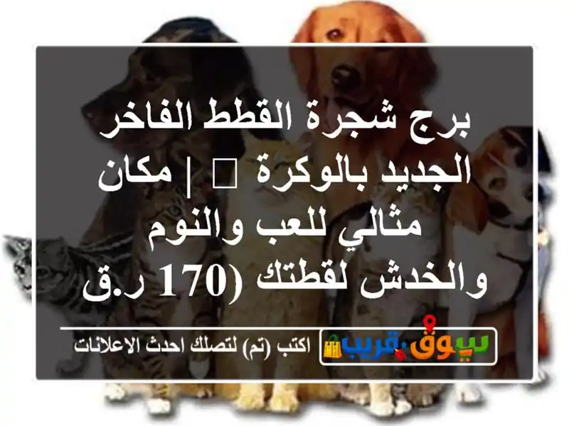برج شجرة القطط الفاخر الجديد بالوكرة 🐾 | مكان...