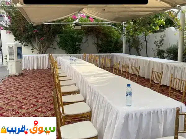 استئجار طاولة وكرسيu002 Frental of Tiffany chair
