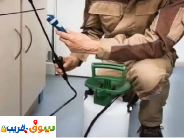 متخصصون في مكافحة الحشرات والقوارض نخلصكم نهائيا...