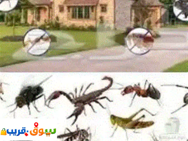 شركة رش مبيدات الحشرات في الرياض مكافحة الحشرات...