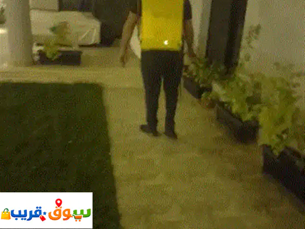 شركة رش مبيدات الحشرات في الرياض مكافحة الحشرات منازل مكافحة الحشرات منازل مكافحة الفيروسات في ...