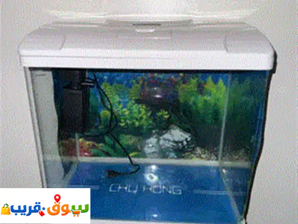 Fish AQUARIUM