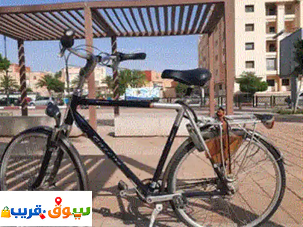 Vélo Gazelle Hollandais – Très Bon État – Prêt à Rouler