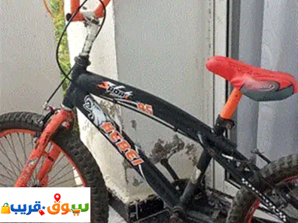 المشطه راني سكمتها