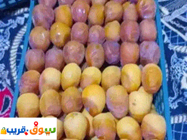 رطب و تمور