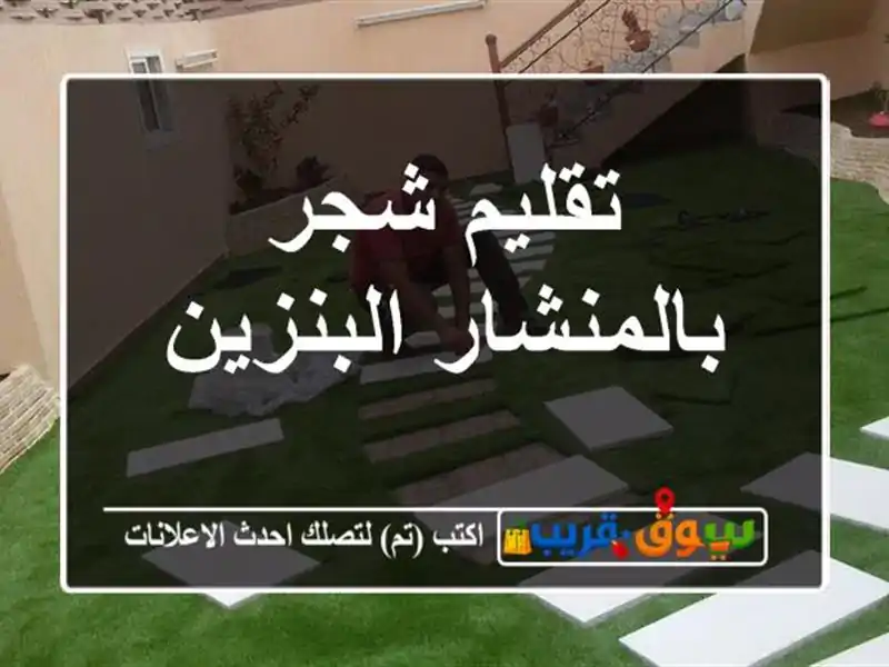 تقليم شجر بالمنشار البنزين