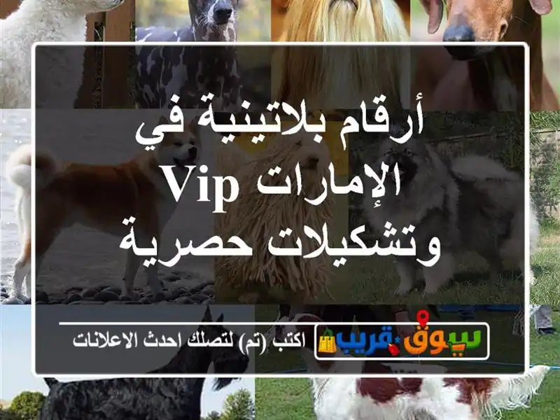 أرقام بلاتينية في الإمارات  VIP وتشكيلات حصرية