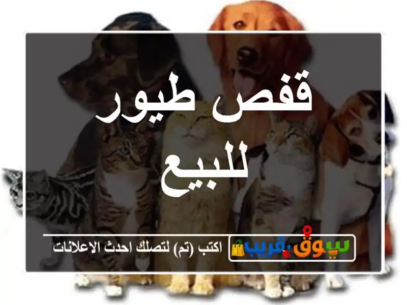 قفص طيور للبيع