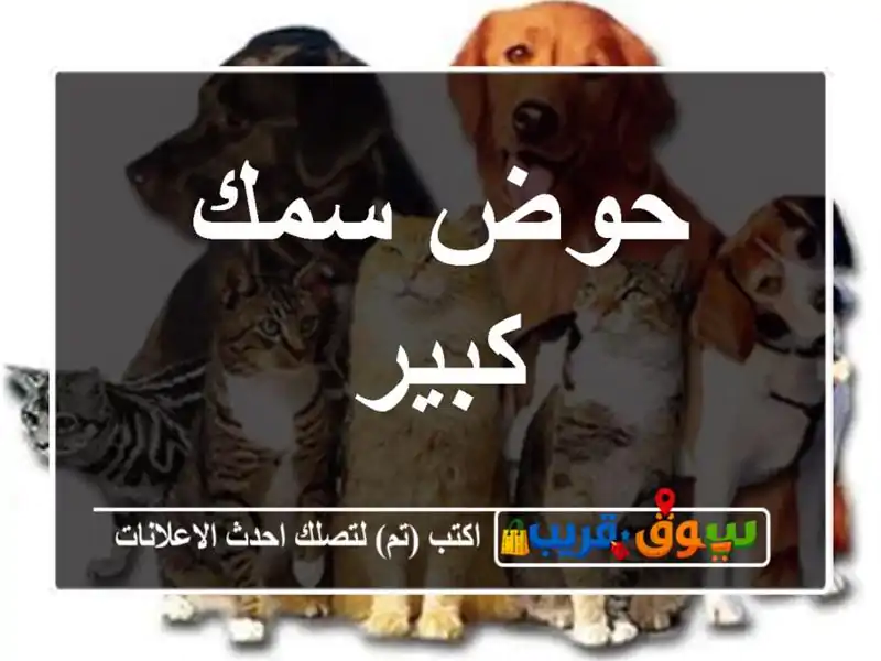 حوض سمك كبير