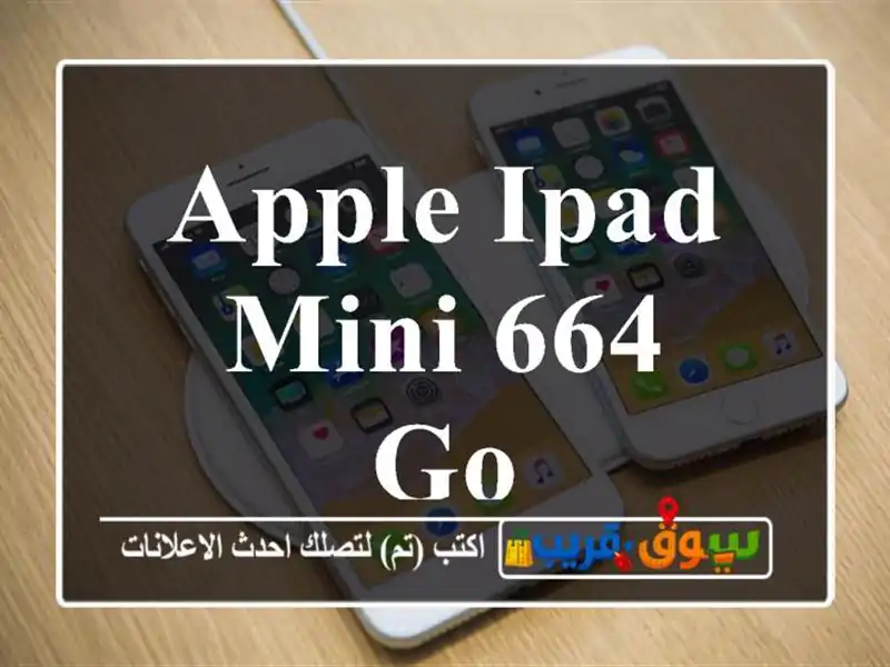 Apple iPad mini 664 go