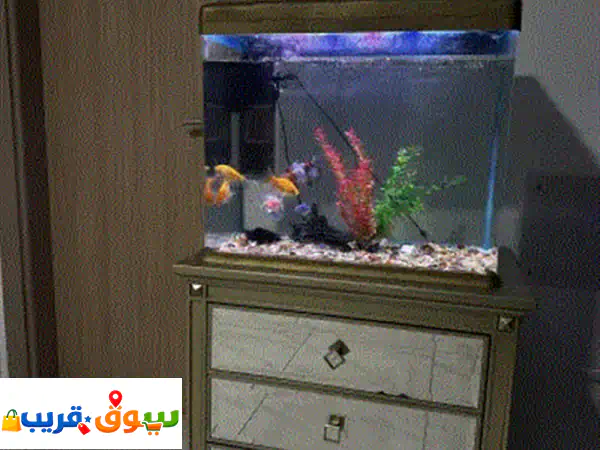 حوض أسماك بحالة جيدة، جاهز للاستخدام مباشرة، مناسب للمنزل أو المكتب ويضيف لمسة جميلة وهادئة لأي ...