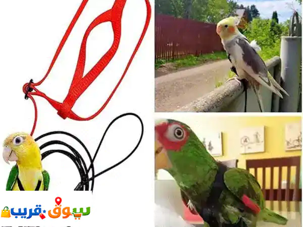 BIRD HARNESS