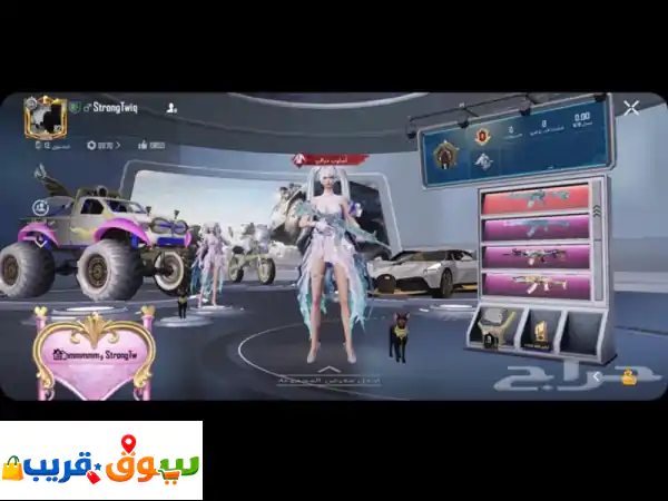 حساب ببجي عالمية أكثر شيء مهتم فيه الأسلحة، والحساب...