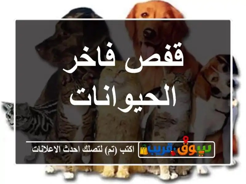 قفص فاخر الحيوانات