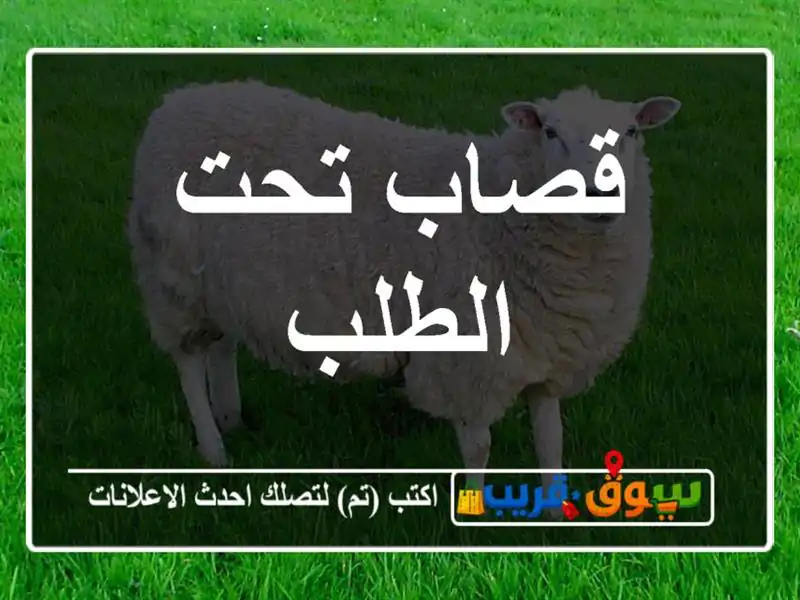 قصاب تحت الطلب