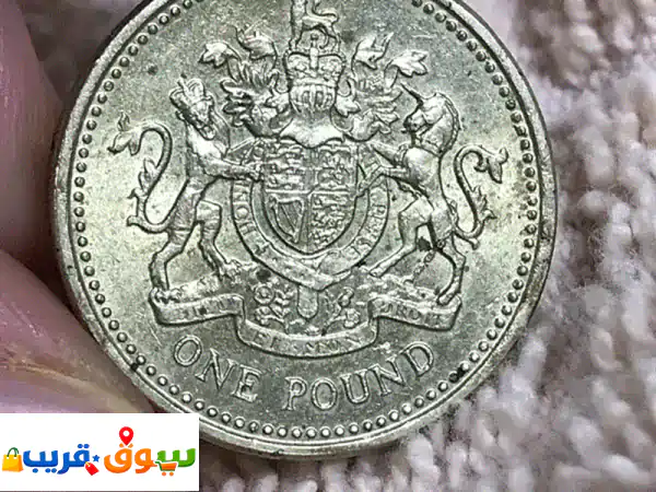 1983 Queen Elizabeth II 1 Lb Coin error