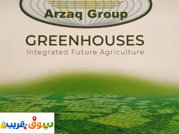 شركة ارزاق