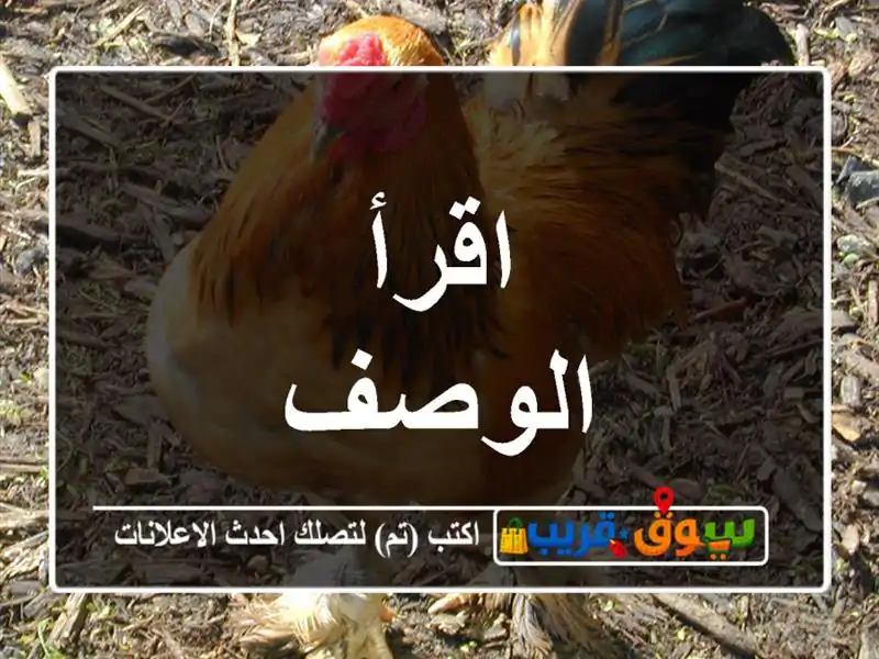 اقرأ الوصف