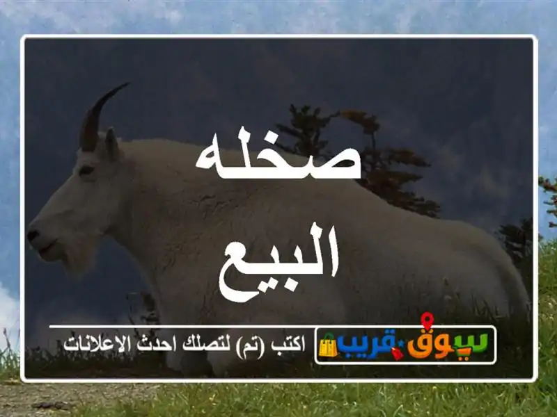 صخله البيع
