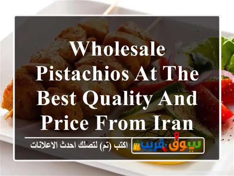 wholesale Pistachios at the Best Quality and Price From Iran per 100 Kgr