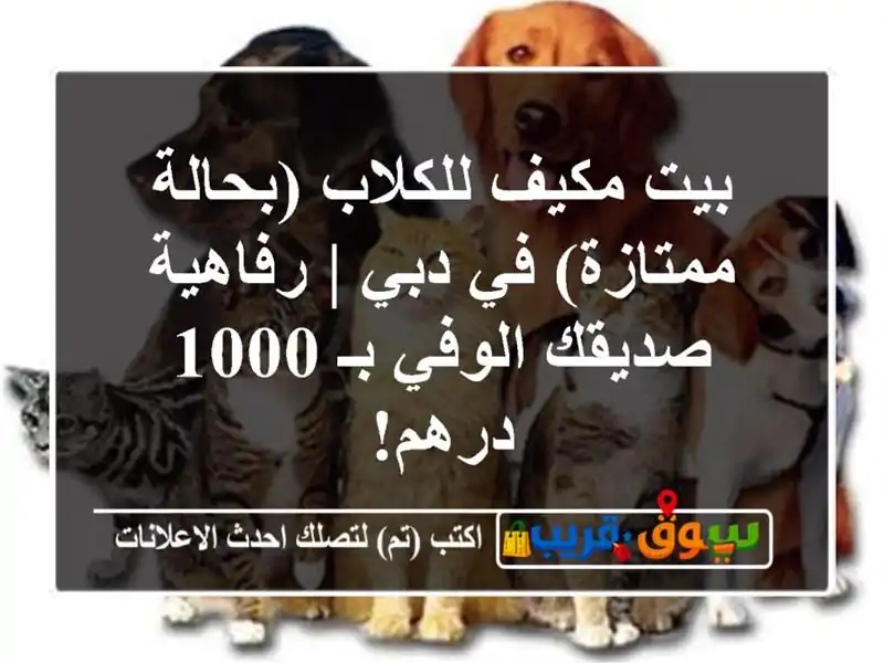 بيت مكيف للكلاب (بحالة ممتازة) في دبي | رفاهية صديقك الوفي بـ 1000 درهم!