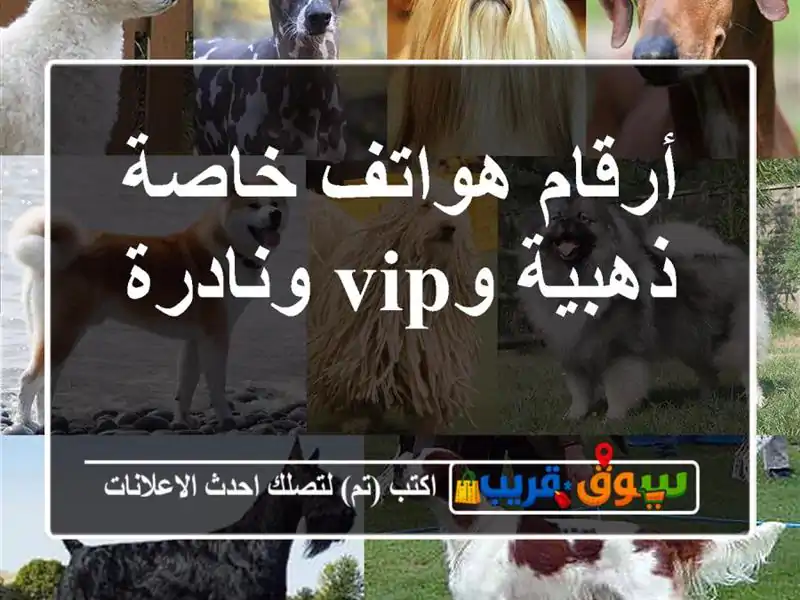 أرقام هواتف خاصة  ذهبية وVIP ونادرة