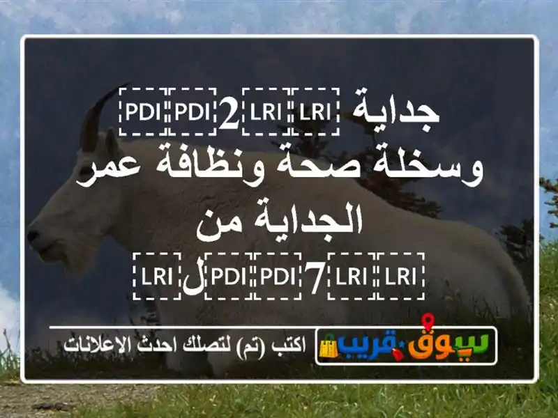 جداية ⁦⁦2⁩⁩ وسخلة صحة ونظافة عمر الجداية...