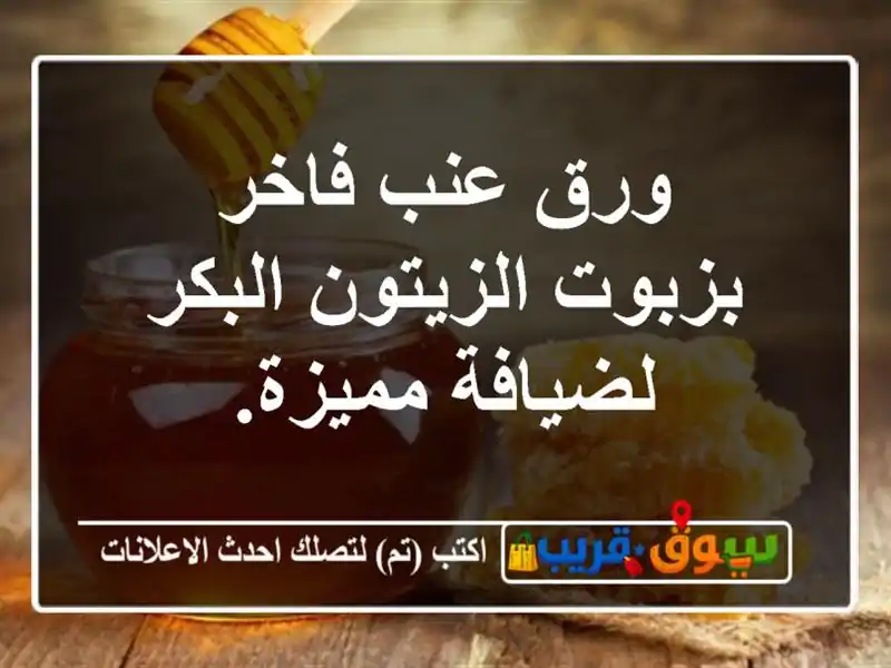 ورق عنب فاخر بزبوت الزيتون البكر لضيافة مميزة.
