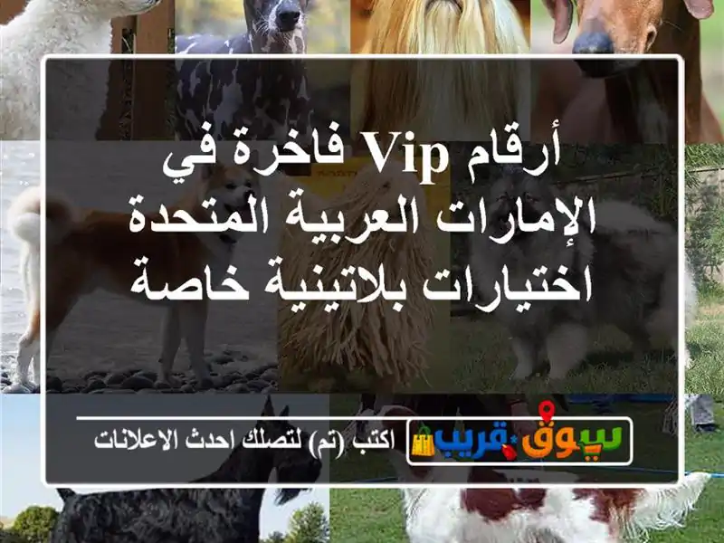 أرقام VIP فاخرة في الإمارات العربية المتحدة...