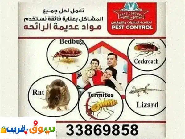 الحشرات والقوارض