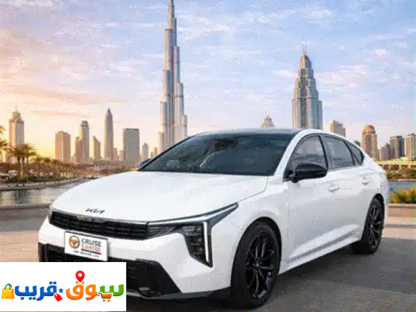 مندوب توصيل الهدايا الفوريه والأمانات والقطط