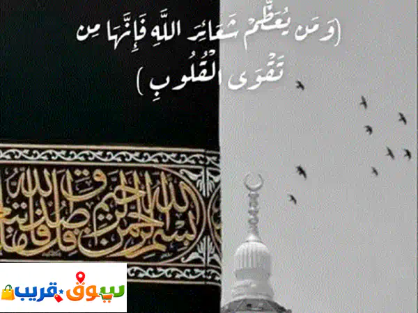 معلمة قران كريم