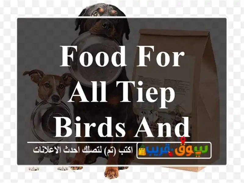 food for all tiep birds and Pete