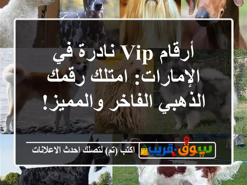 أرقام VIP نادرة في الإمارات: امتلك رقمك الذهبي...