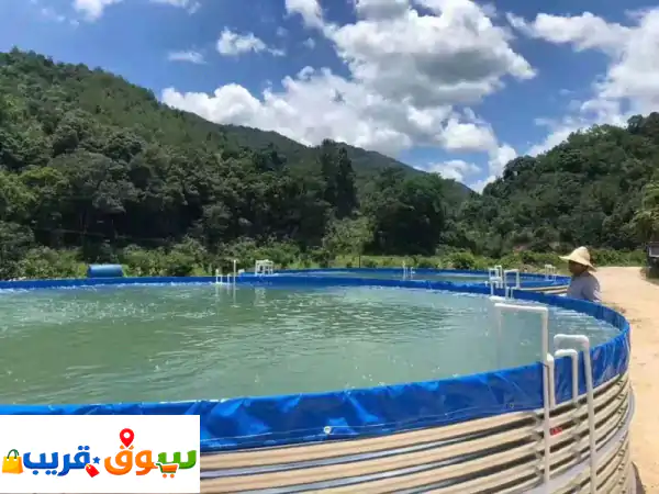 مشاريع الاستدامة الزراعية: استشارات ودراسة جدوى لمستقبلك الأخضر (أكوابونيك، هيدروبونيك، استزراع سمكي)