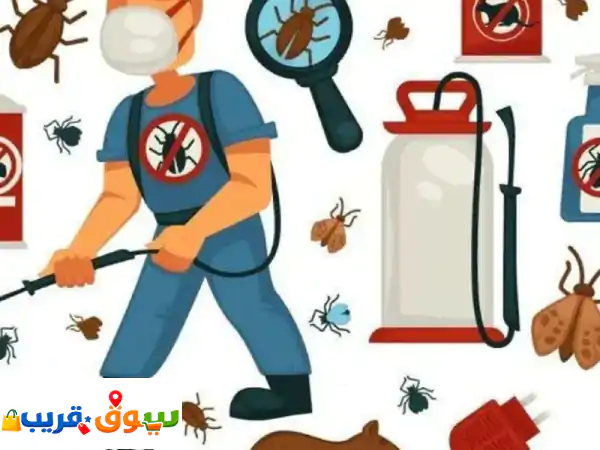 شركة مكافحة حشرات في المدينة المنورة 0501035049 رش...